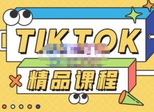 电商孵化中心·TikTok精品课程,教你玩转海外抖音,低成本创业,带您从0开始玩转TikTok-私藏资源社