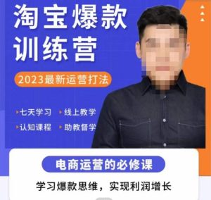 爱上黄昏·淘宝爆款训练营,2023最新运营打法,学习爆款思维,实现利润增长-私藏资源社