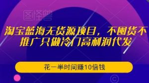 淘宝蓝海无货源项目,不囤货不推广只做冷门高利润代发,花一半时间赚10倍钱-私藏资源社