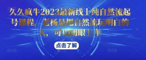 久久疯牛2023最新线上纯自然流起号课程,老杨是把自然流玩明白的人,可以闭眼上车-私藏资源社