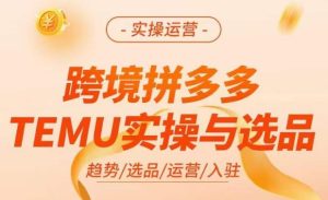 跨境拼多多TEMU实操与选品,掌握平台运营方法技巧,选品避坑12条标准,爆款的底层思路等-私藏资源社