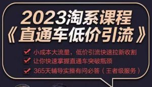 2023直通车低价引流玩法课程,小成本大流量,低价引流快速拉新收割,让你快速掌握直通车突破瓶颈-私藏资源社