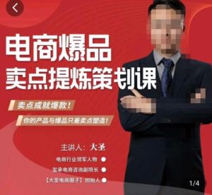 大圣·电商标品爆款卖点策划课,标品卖点成就爆款,可落地卖点提炼课-私藏资源社