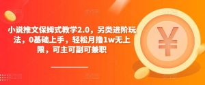 小说推文保姆式教学2.0,另类进阶玩法,0基础上手,轻松月撸1w无上限,可主可副可兼职-私藏资源社