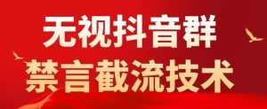 外面卖1500抖音粉丝群无视禁言截流技术,抖音黑科技,直接引流,0封号-私藏资源社