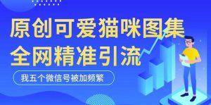 黑科技纯原创可爱猫咪图片，全网精准引流，实操5个VX号被加频繁-私藏资源社