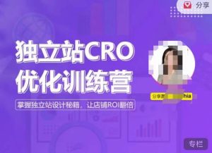 独立站CRO优化训练营,掌握独立站设计秘籍,打造高转化的独立站,让店铺ROI翻倍-私藏资源社