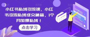 小红书私域引流课,小红书引流私域成交秘籍,1个月加爆私域!-私藏资源社