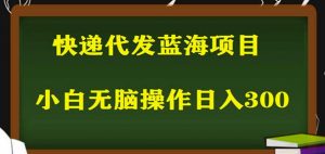 2023最新蓝海快递代发项目,小白零成本照抄也能日入300+-私藏资源社