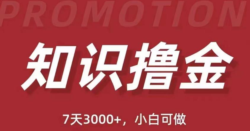 抖音知识撸金项目：简单粗暴日入1000+执行力强当天见收益(教程+资料)-私藏资源社