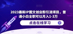 2023最新IP图文创业粉引流项目，普通小白全职可以月入1-3万-私藏资源社