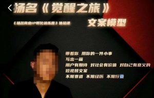 王扬名·《觉醒之旅》文案模型,带着你用你的一件小事,对自己有意义的短视频文案-私藏资源社