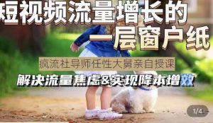 任性大舅·宠物行业短视频运营课(不讲废话),短视频流量增长的一层窗户纸,解决流量焦虑&实现降本增效-私藏资源社