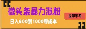 微头条暴力涨粉技巧搬运文案就能涨几万粉丝,简单0成本,日赚600【揭秘】-私藏资源社