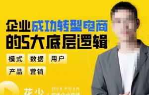 企业成功转型电商的5大底层逻辑,从模式、数据、用户、产品、营销5大板块,助你高效转型电商赛道-私藏资源社