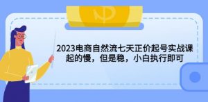 2023电商自然流七天正价起号实战课：起的慢，但是稳，小白执行即可！-私藏资源社