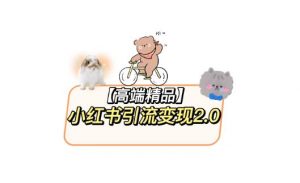 小红书最新引流变现教程,全网最新最详细的视频教程以及素材-私藏资源社
