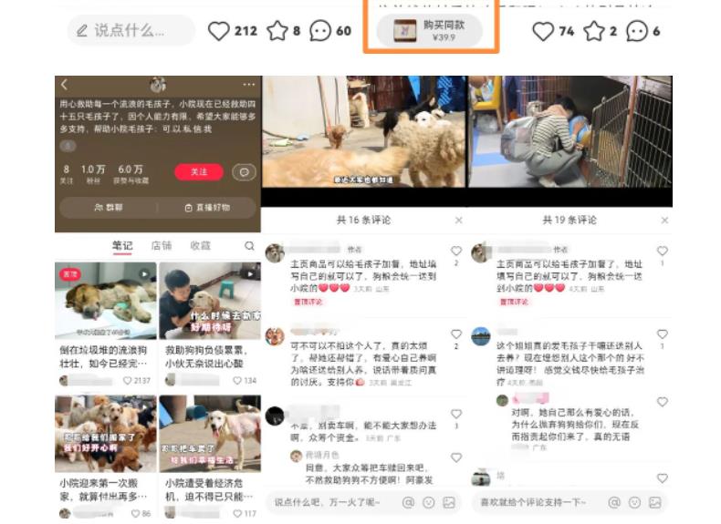 小红书蓝海类赛道：小动物打赏与购买变现副业项目，一条龙玩法分享给你！-私藏资源社