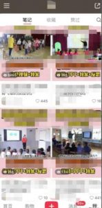 幼儿园公开课项目,虚拟资源变现,一单19.9,单日变现300-私藏资源社