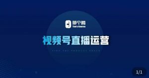 那个腾·视频号直播运营,视频号直播推流逻辑/流量渠道解析/直播起号攻略/直播实操技巧-私藏资源社