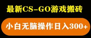 最新csgo游戏搬砖游戏,无需挂机小白无脑也能日入300+-私藏资源社