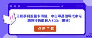 正规暴利流量卡项目,小白零基础零成本无脑照抄也能日入300+【揭秘】-私藏资源社
