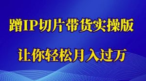 蹭这个IP切片带货实操版,让你轻松月入过万(教程+素材)-私藏资源社