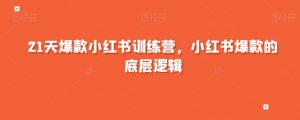 21天爆款小红书训练营,小红书爆款的底层逻辑-私藏资源社