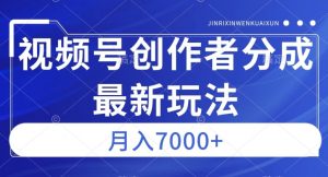 视频号广告分成新方向,作品制作简单,篇篇爆火,半月收益3000+【揭秘】-私藏资源社