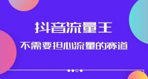 抖音流量王,不需要担心流量的赛道,美女图文音乐号升级玩法(附实操+养号流程)-私藏资源社