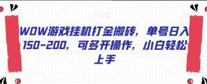 WOW游戏挂机打金搬砖,单号日入150-200,可多开操作,小白轻松上手【揭秘】-私藏资源社