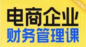 电商企业财务管理线上课,为电商企业规划财税-私藏资源社