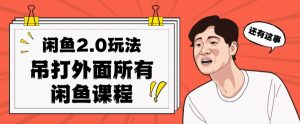 闲鱼2.0玩法单号每天日入2000,吊打市面所有课程-私藏资源社