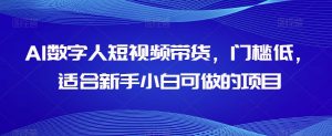 AI数字人短视频带货，门槛低，适合新手小白可做的项目-私藏资源社