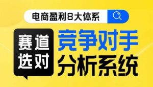 电商盈利8大体系·赛道选对,竞争对手分析系统线上课-私藏资源社