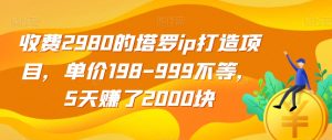 收费2980的塔罗ip打造项目,单价198-999不等,5天赚了2000块【揭秘】-私藏资源社