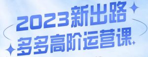 大炮·多多高阶运营课,3大玩法助力打造爆款,实操玩法直接亮出干货-私藏资源社