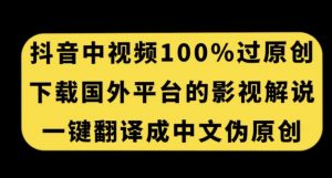 抖音中视频百分百过原创,下载国外平台的电影解说,一键翻译成中文获取收益-私藏资源社
