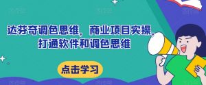 达芬奇调色思维,商业项目实操,打通软件和调色思维-私藏资源社