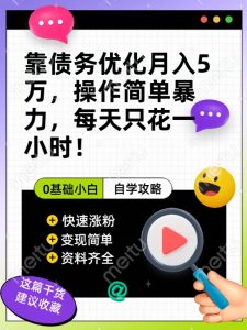 靠债务优化月入五万,每天只要花两个小时,多种方式轻松变现【揭秘】-私藏资源社