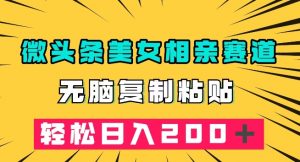 微头条冷门美女相亲赛道,无脑复制粘贴,轻松日入200+【揭秘】-私藏资源社