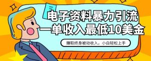 电子资料暴力引流,一单最低10美金,赚取终身被动收入,保姆级教程【揭秘】-私藏资源社