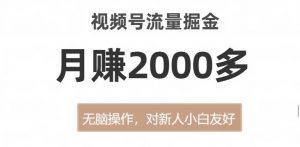 视频号流量掘金,无脑操作,对新人小白友好,月赚2000多【揭秘】-私藏资源社