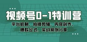 视频号0-1特训营:平台机制、拍摄剪辑、内容创作、爆款公式,实战案例分享-私藏资源社