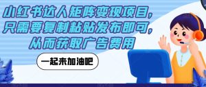 小红书达人矩阵变现项目,只需要复制粘贴发布即可,从而获取广告费用-私藏资源社