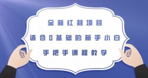 全新红利项目,适合0基础的新手小白,手把手课程教学【揭秘】-私藏资源社