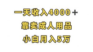 一天收入4000+,靠卖成人用品,小白轻松月入5万【揭秘】-私藏资源社