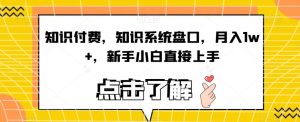 知识付费,知识系统盘口,月入1w+,新手小白直接上手-私藏资源社