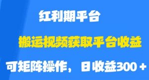 搬运视频获取平台收益,平台红利期,附保姆级教程【揭秘】-私藏资源社