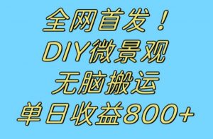 全网首发冷门赛道!DIY微景观,无脑搬运视频,日收益800+【揭秘】-私藏资源社